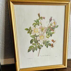 Floral Botanical Print in Gold Frame